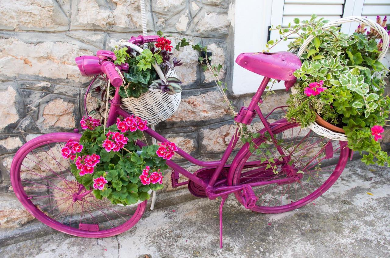 Appartamento Milica Garden Prvic Sepurine Esterno foto