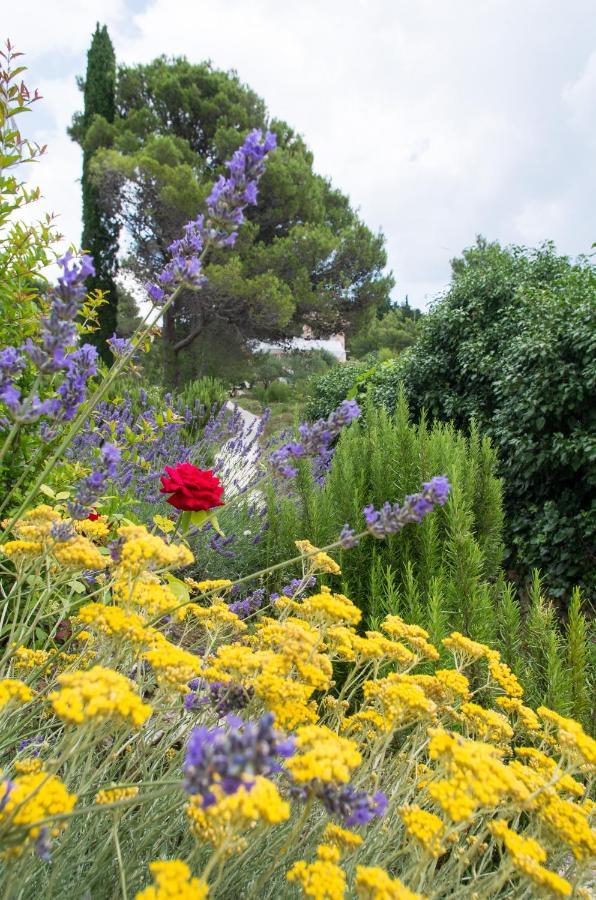 Appartamento Milica Garden Prvic Sepurine Esterno foto