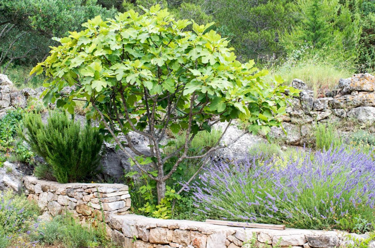 Appartamento Milica Garden Prvic Sepurine Esterno foto
